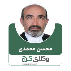 محسن محمدی